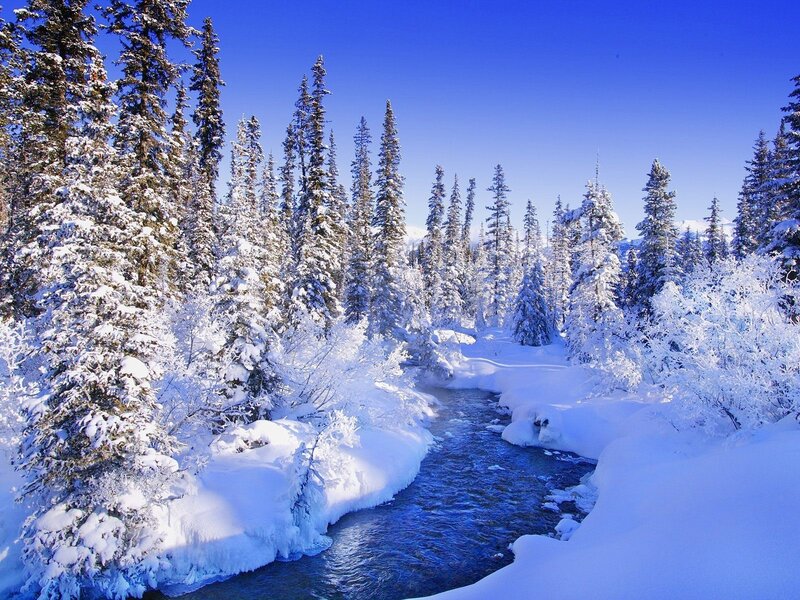 Snowy forest river scene