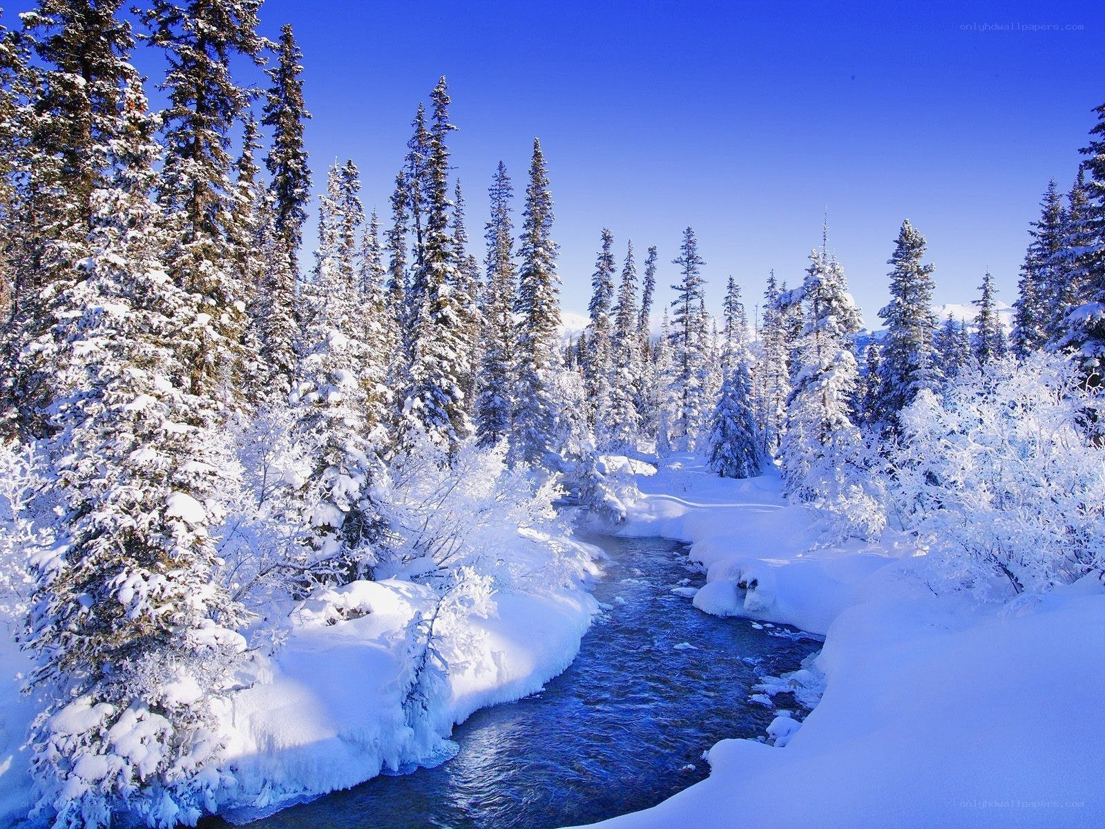 Snowy forest river scene