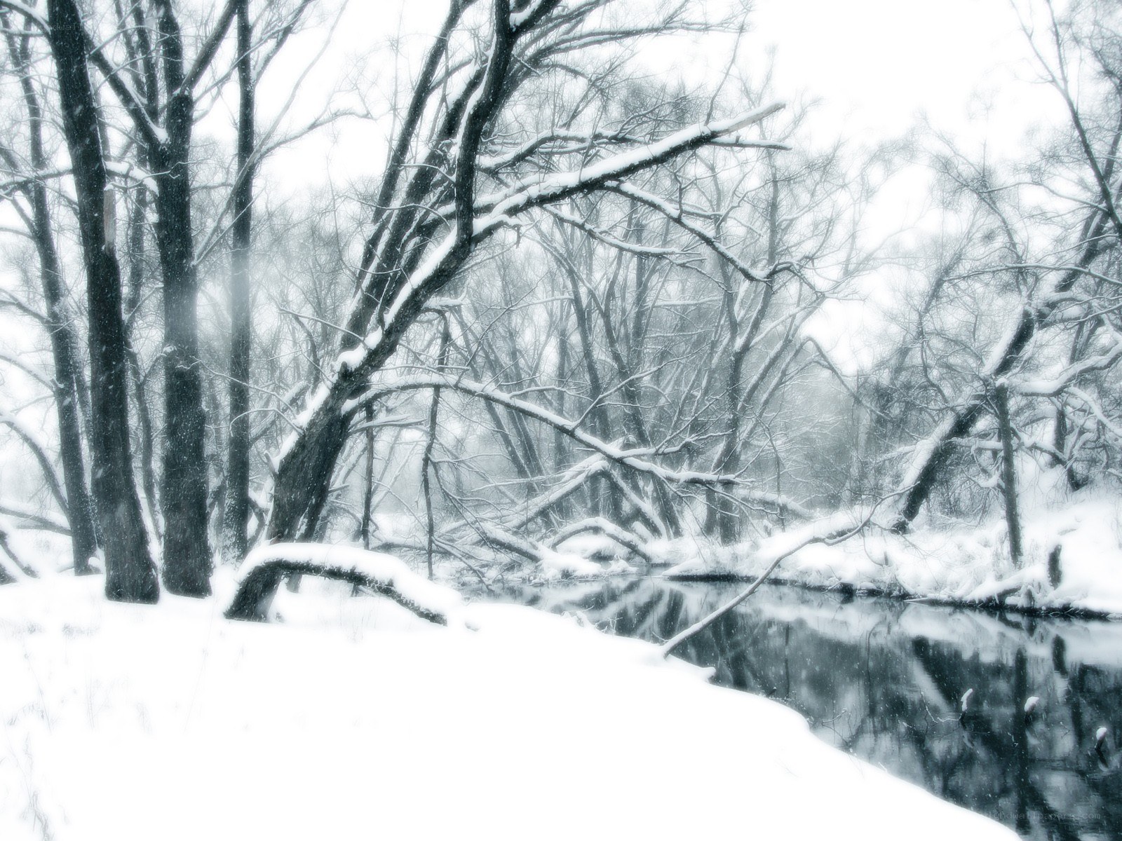 Snowy forest river scene