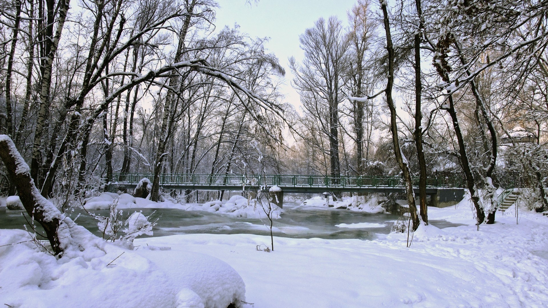 Snowy forest river scene