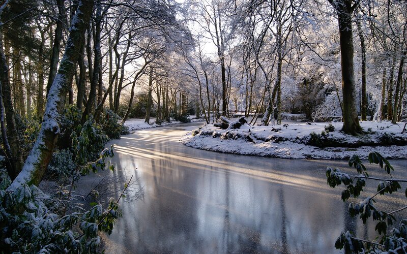 Snowy forest river scene