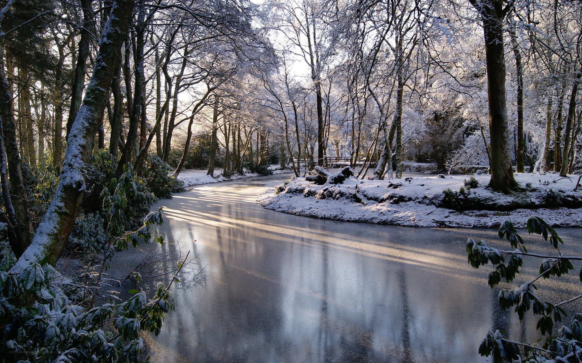 Snowy forest river scene