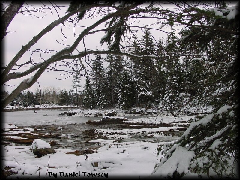 snowy forest river scene