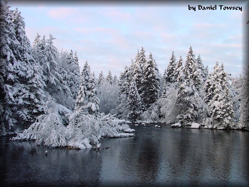 Snowy forest river scene