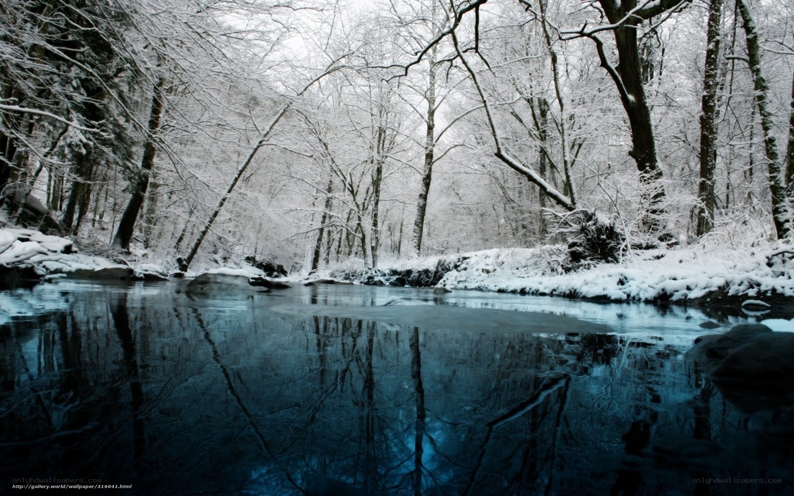 Snowy forest river scene