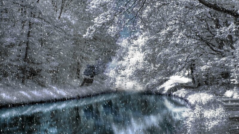 Snowy Forest River — White, Serene