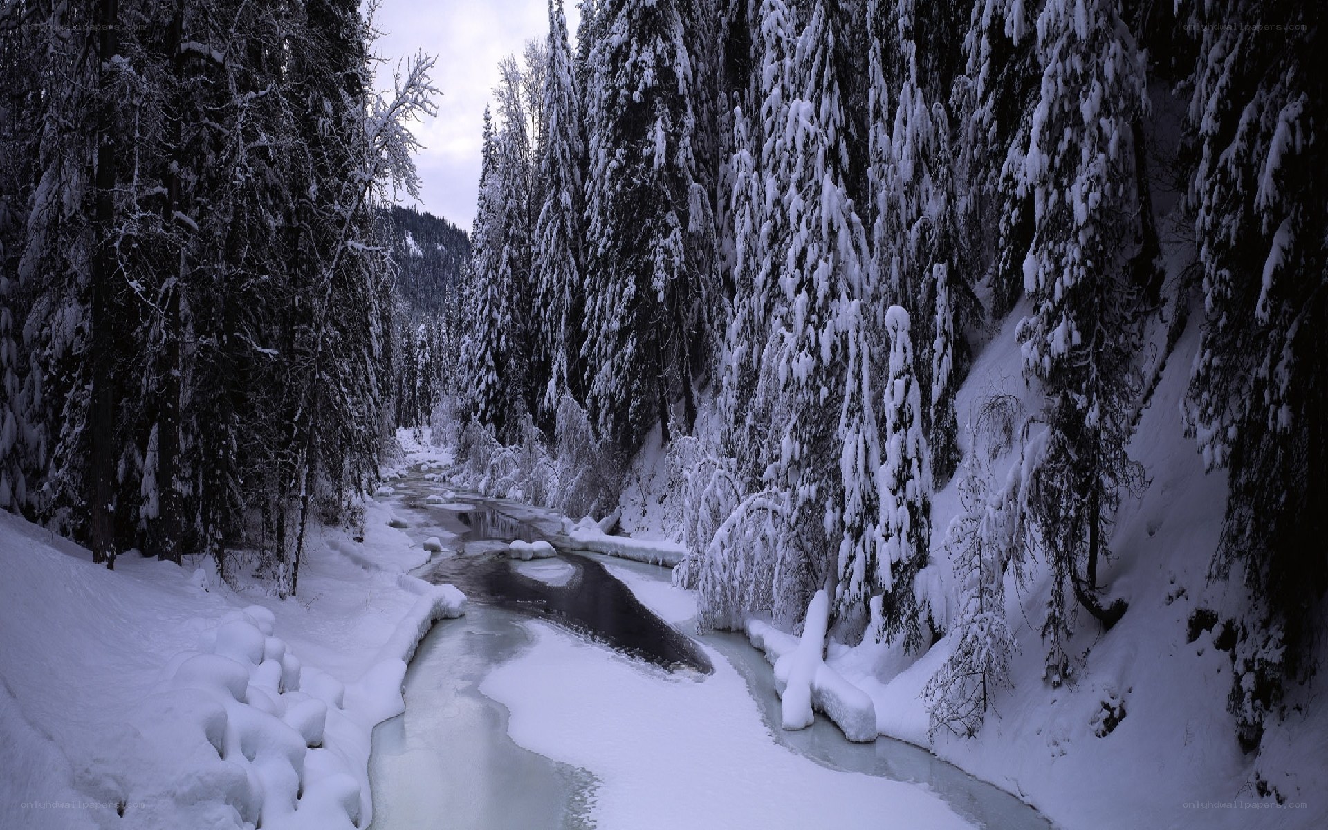 Snowy forest river