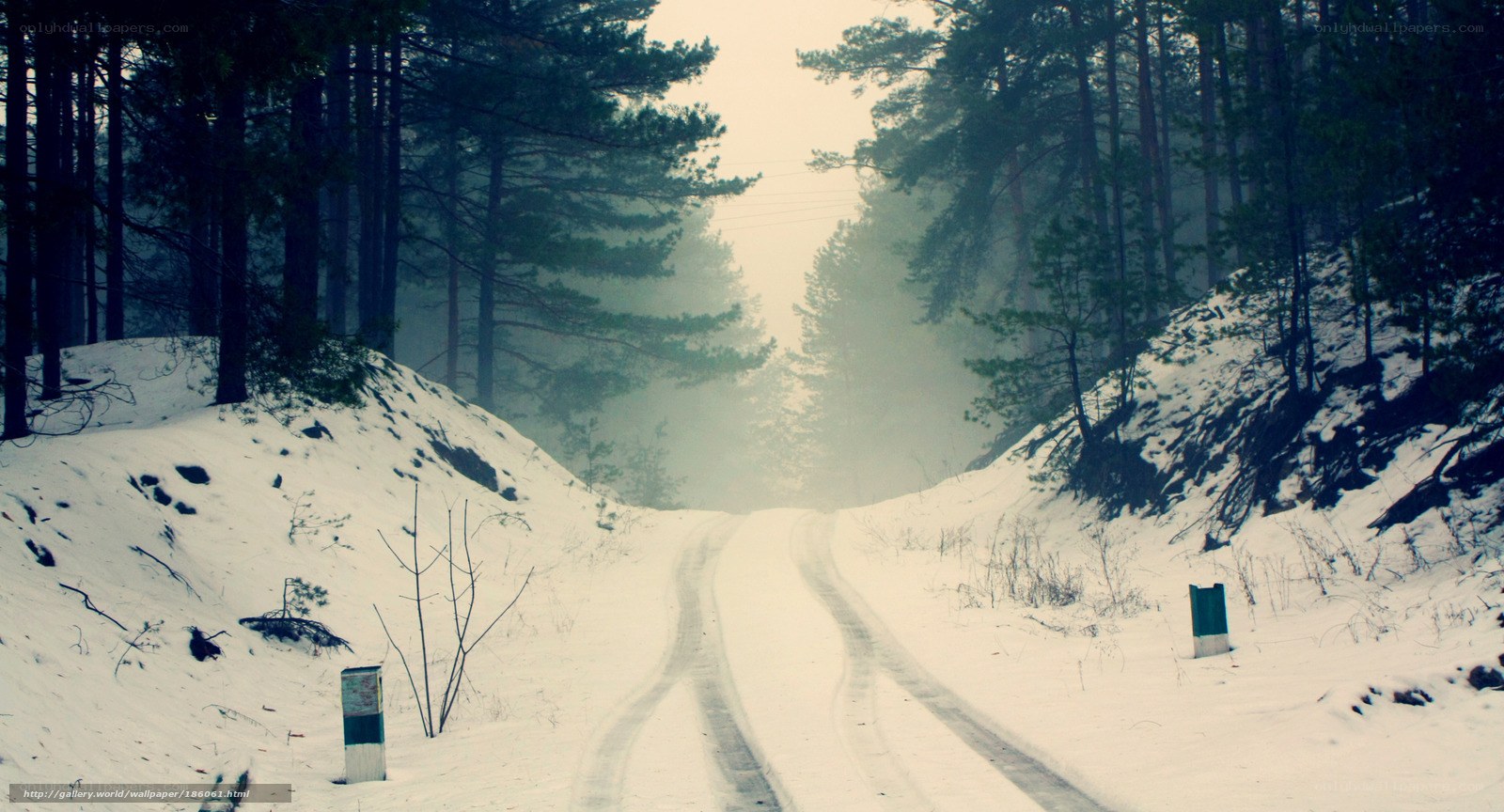 Snowy forest road