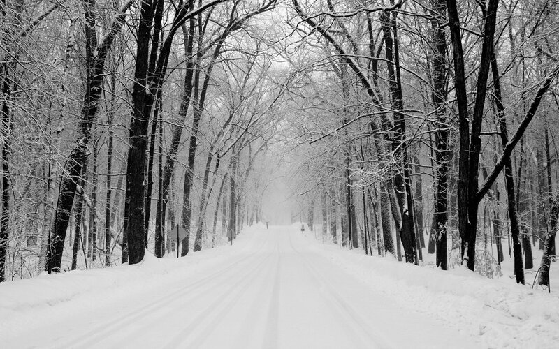 Snowy forest road