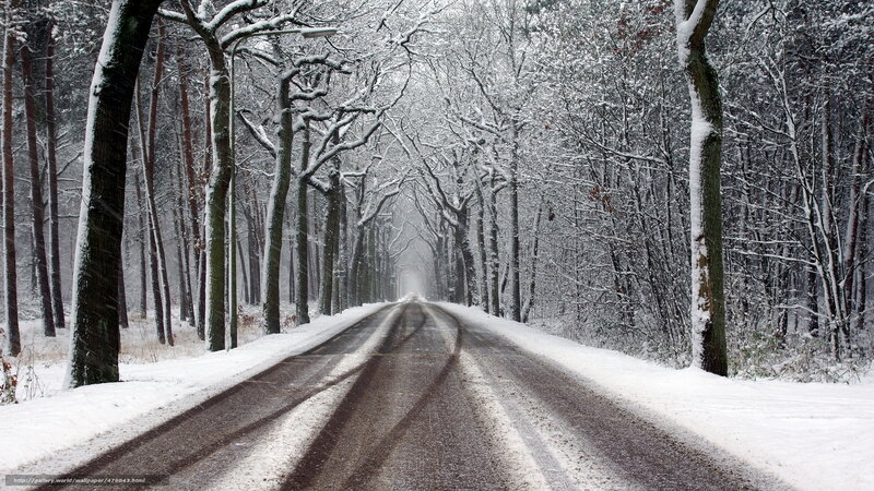 Snowy forest road