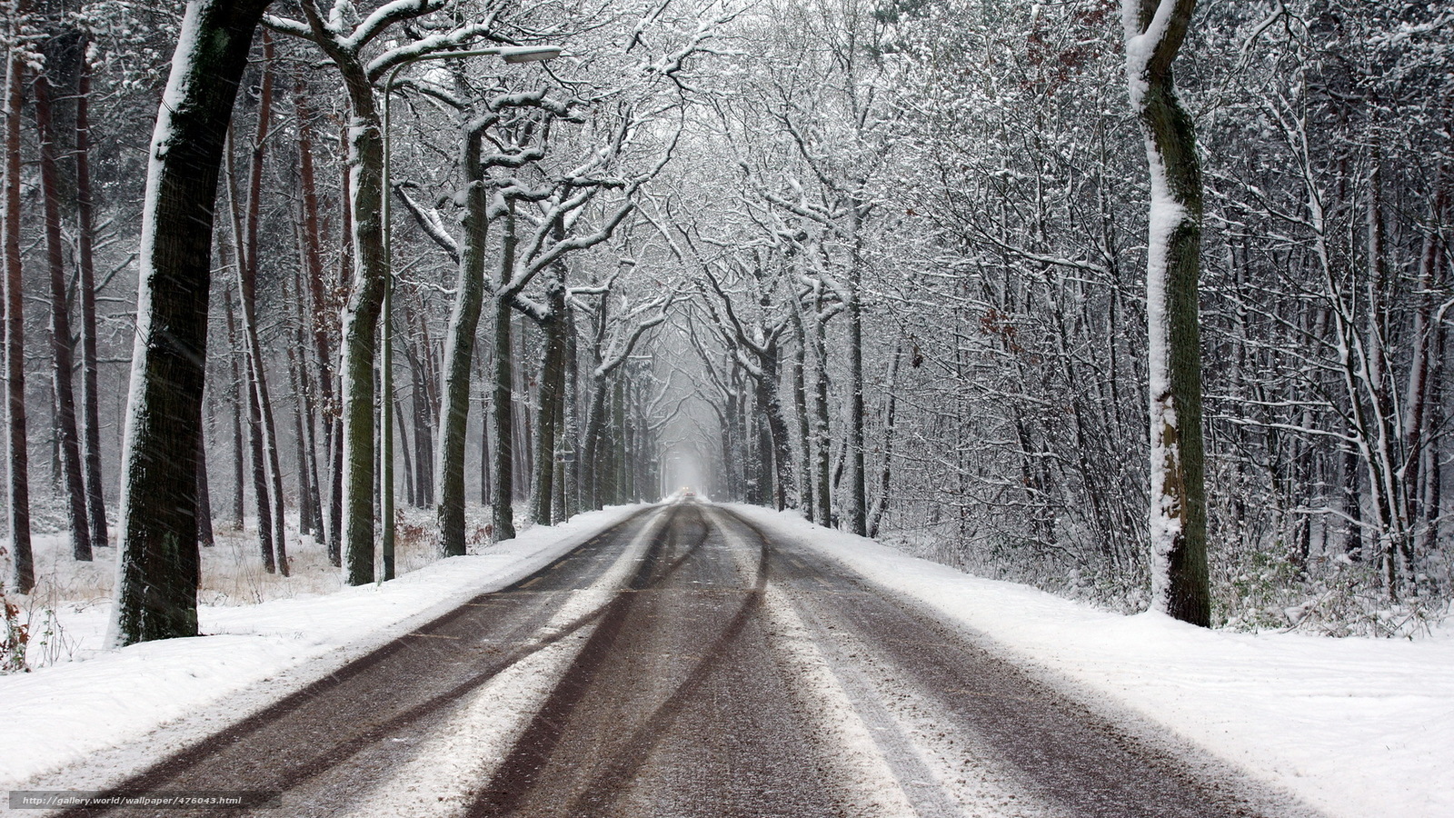 Snowy forest road