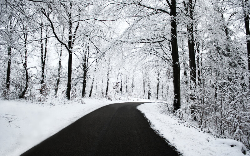snowy forest road