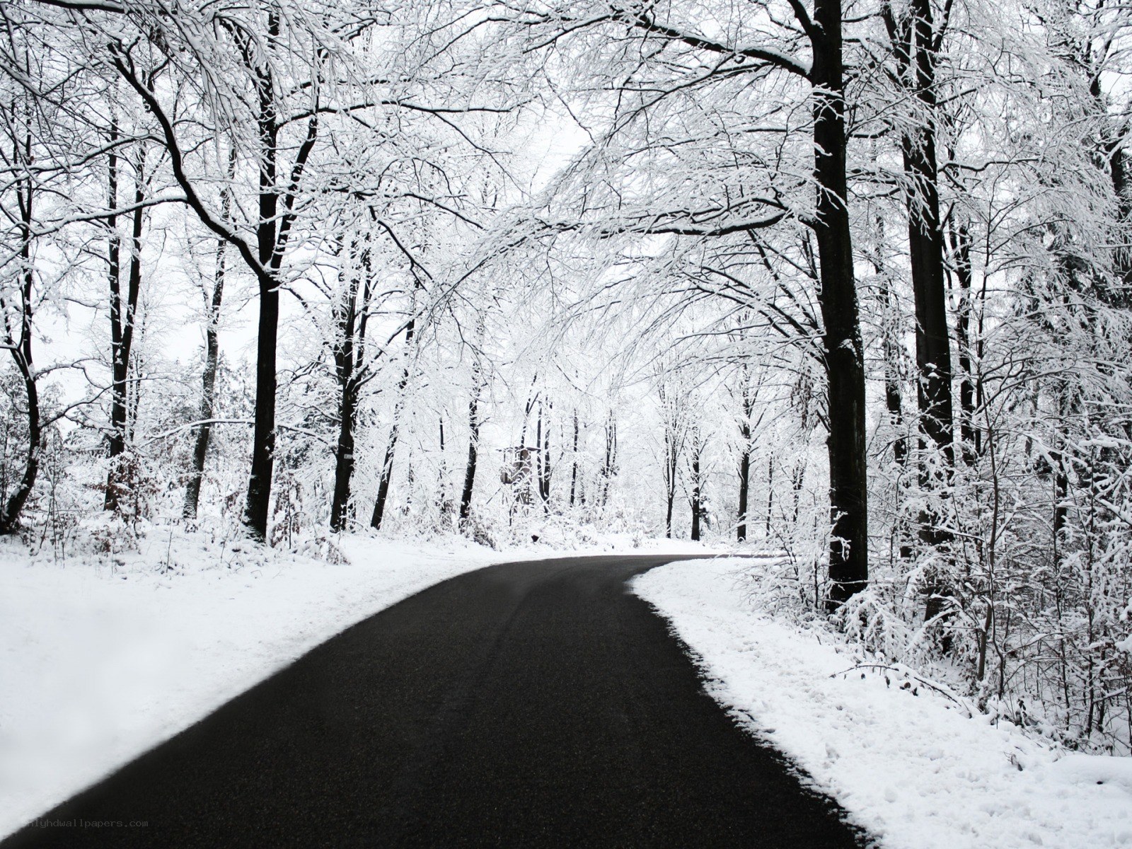 Snowy forest road