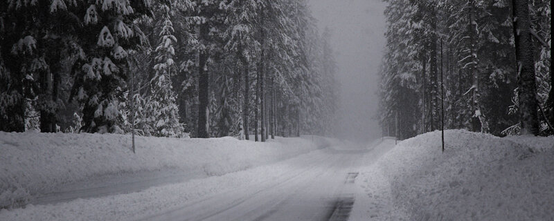 snowy forest road