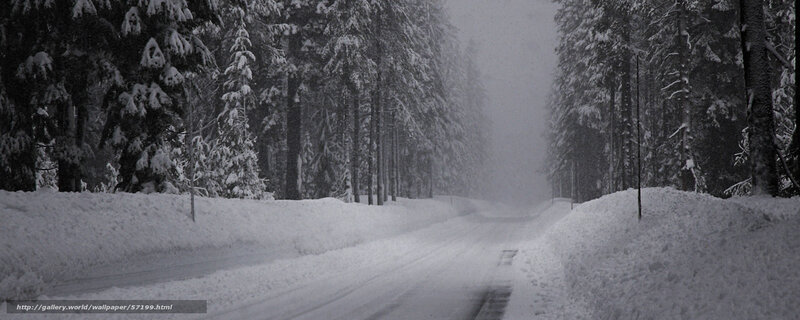 Snowy forest road