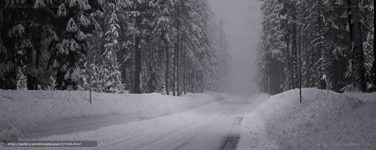 Snowy forest road