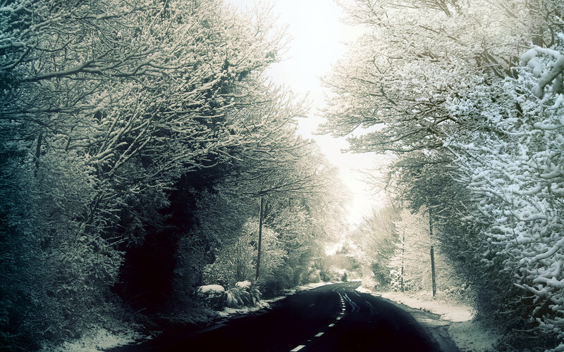 Snowy forest road