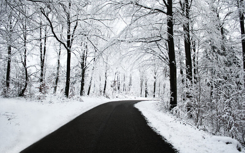 Snowy forest road