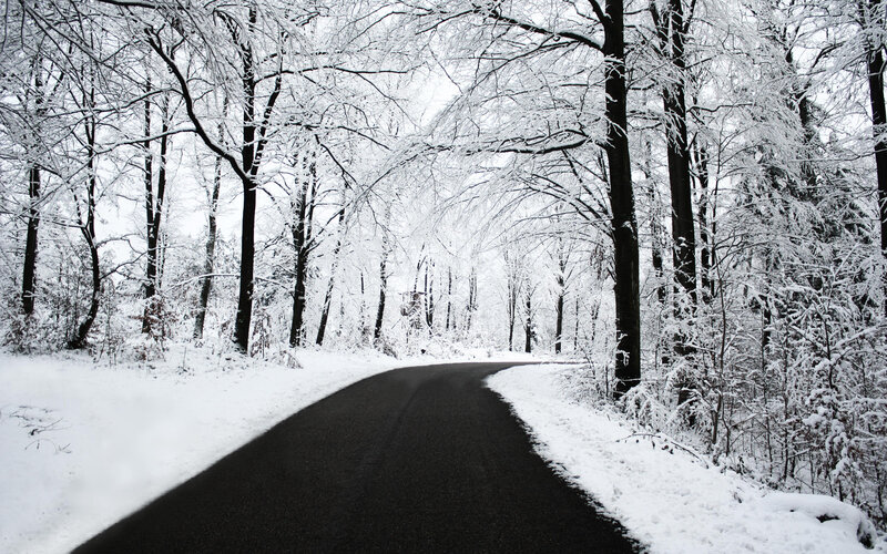 Snowy forest road