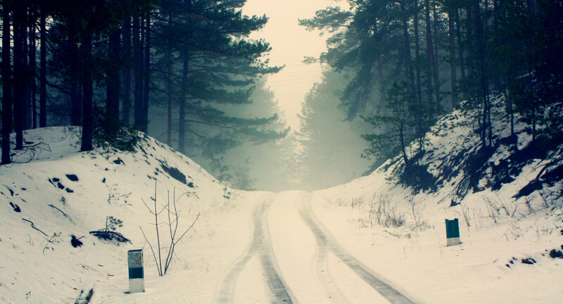 Snowy forest road