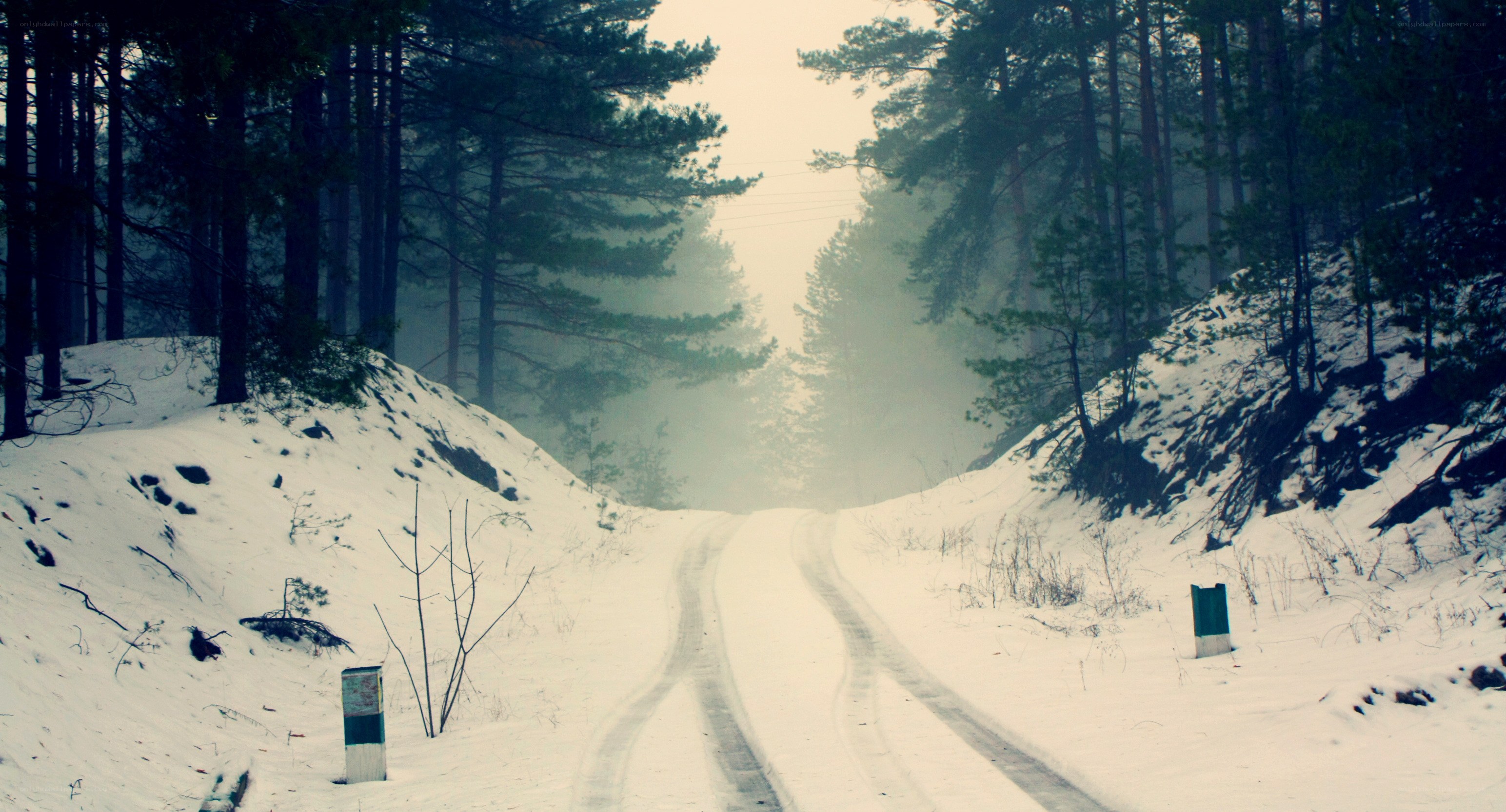 Snowy forest road
