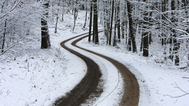 snowy forest road