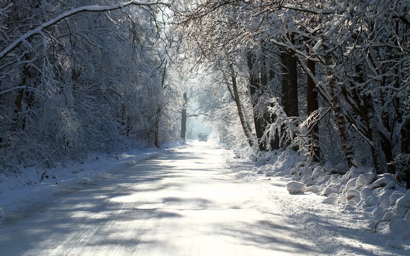 Snowy forest road