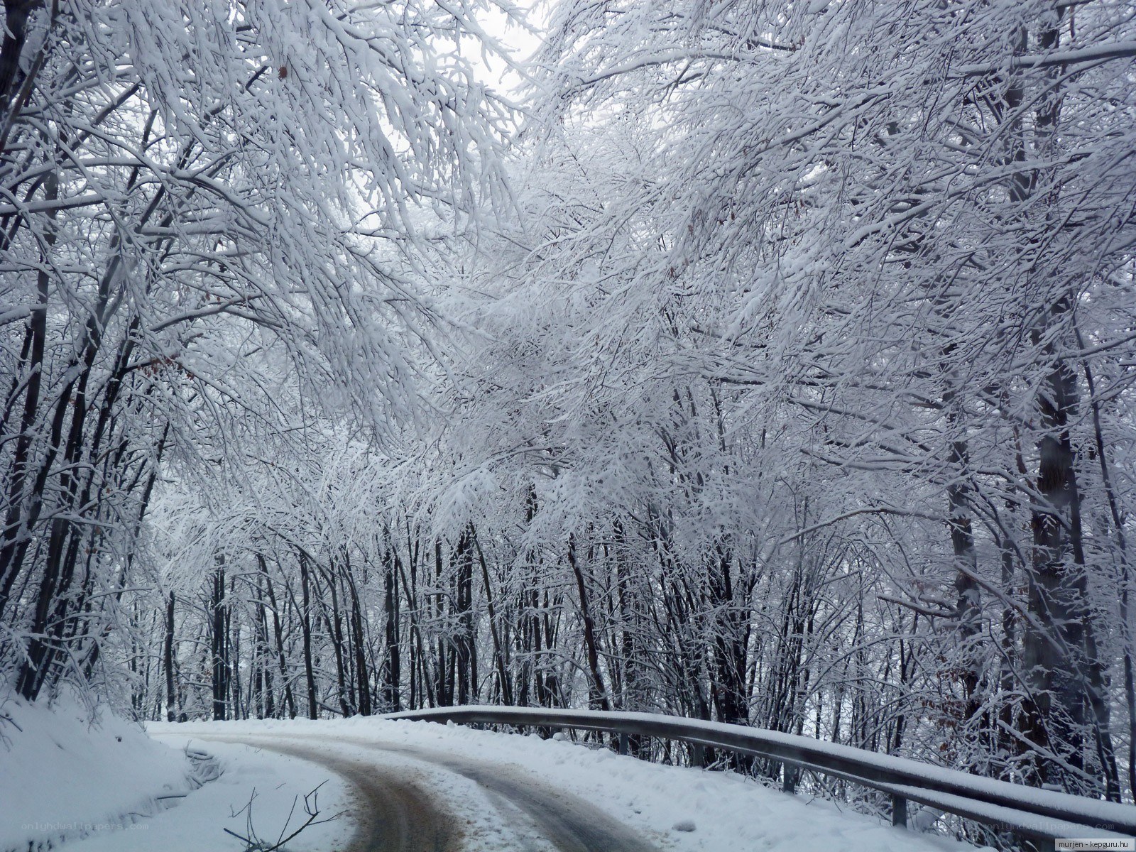 Snowy forest road