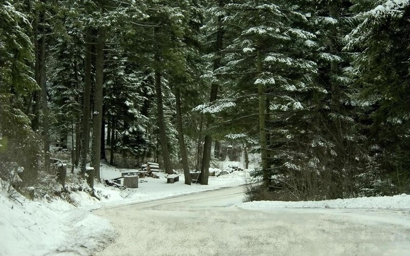 snowy forest road