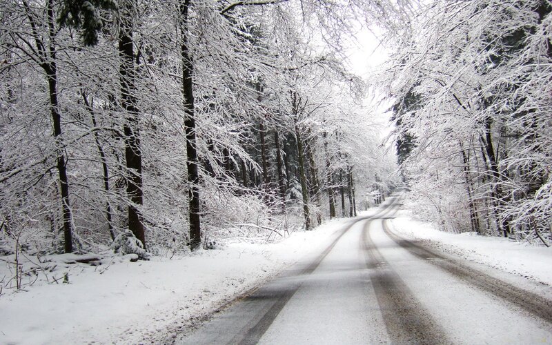 Snowy forest road