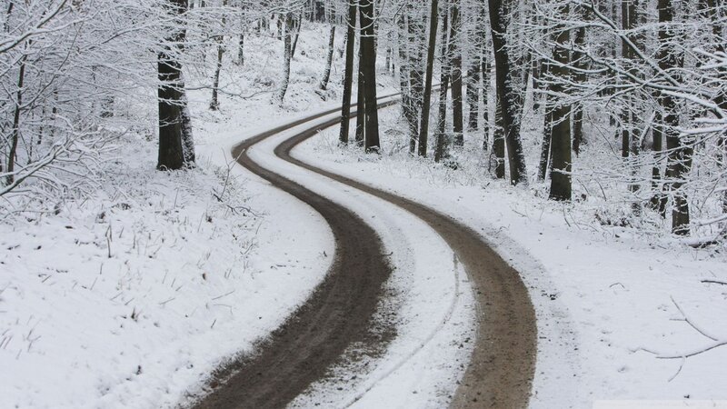 snowy forest road