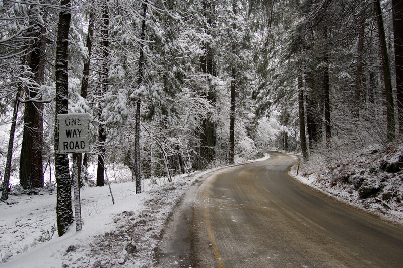 Snowy forest road