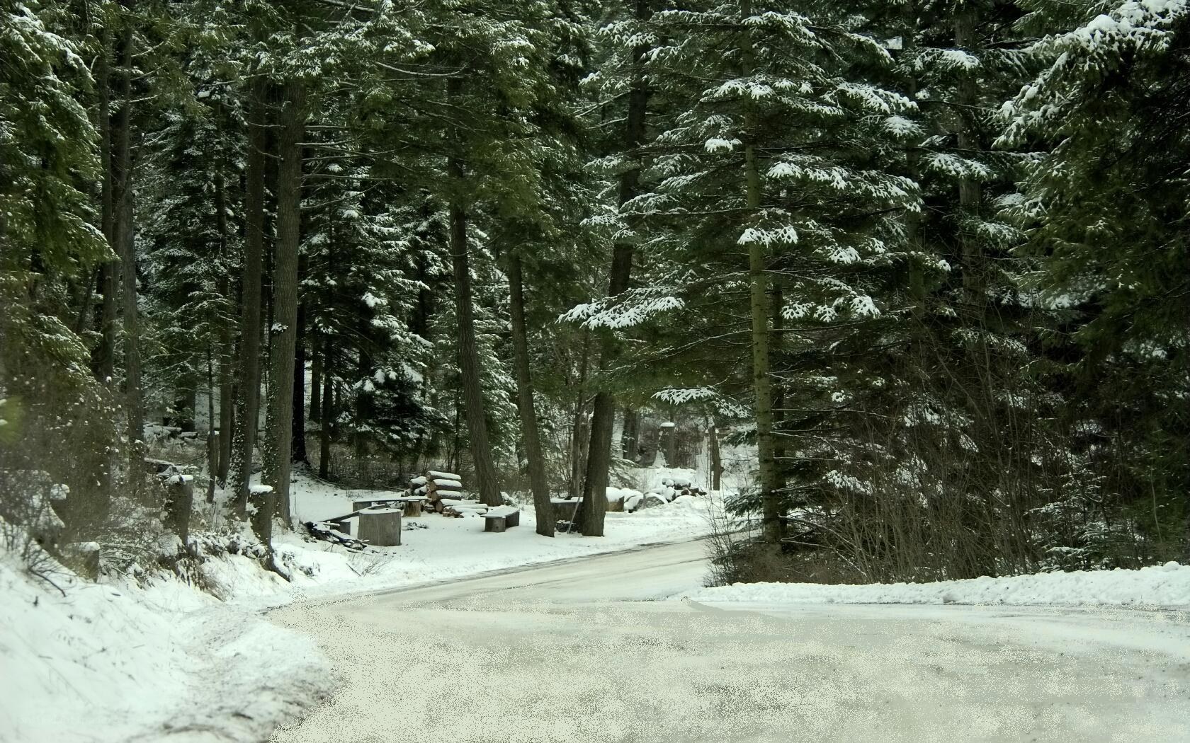 snowy forest road