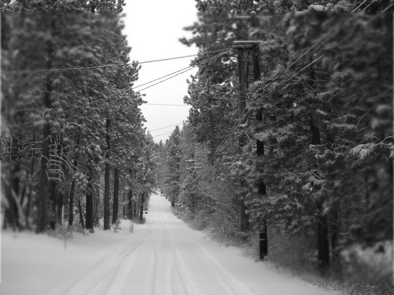 Snowy forest road