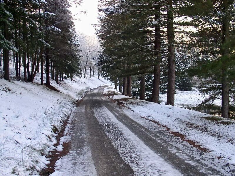 Snowy forest road