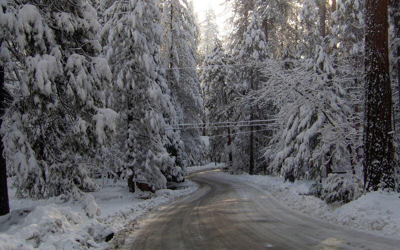 Snowy forest road
