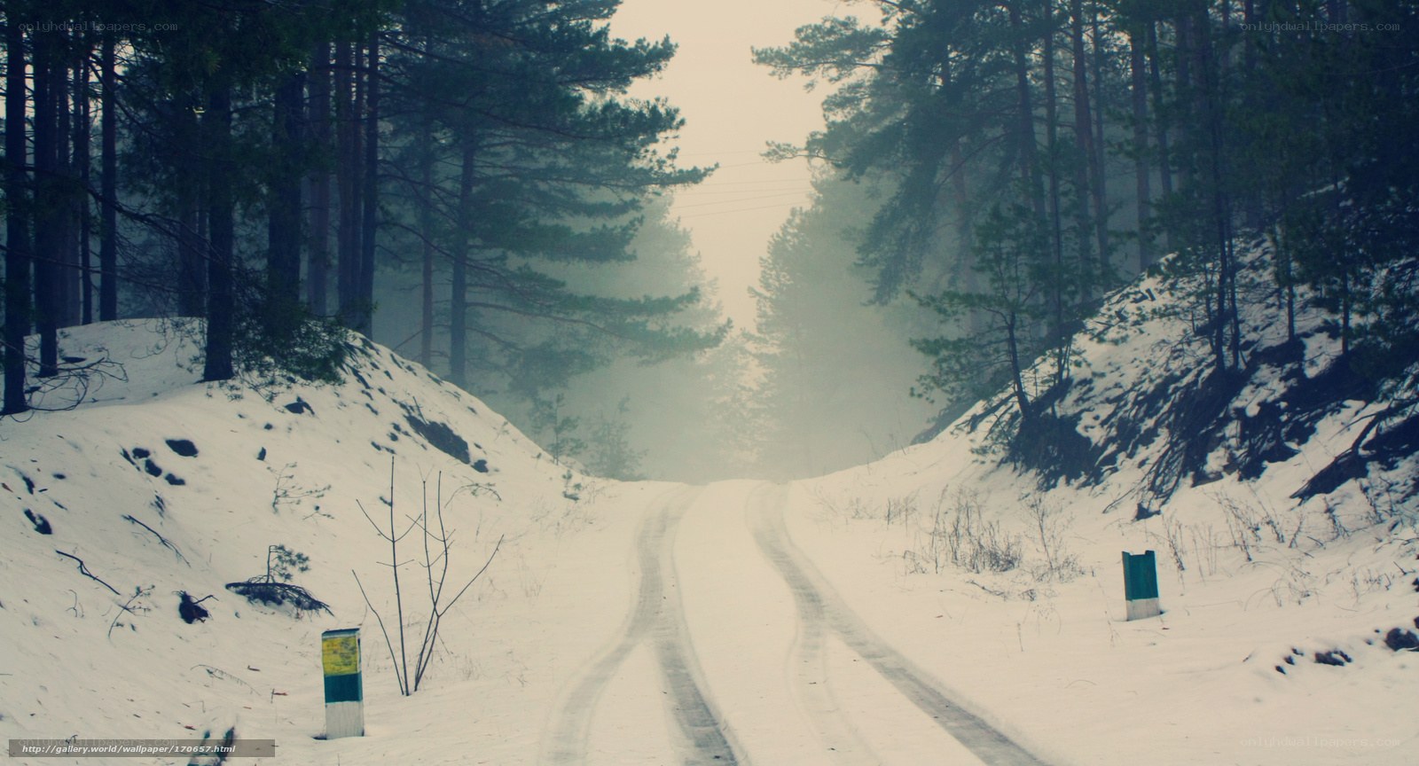 Snowy forest road
