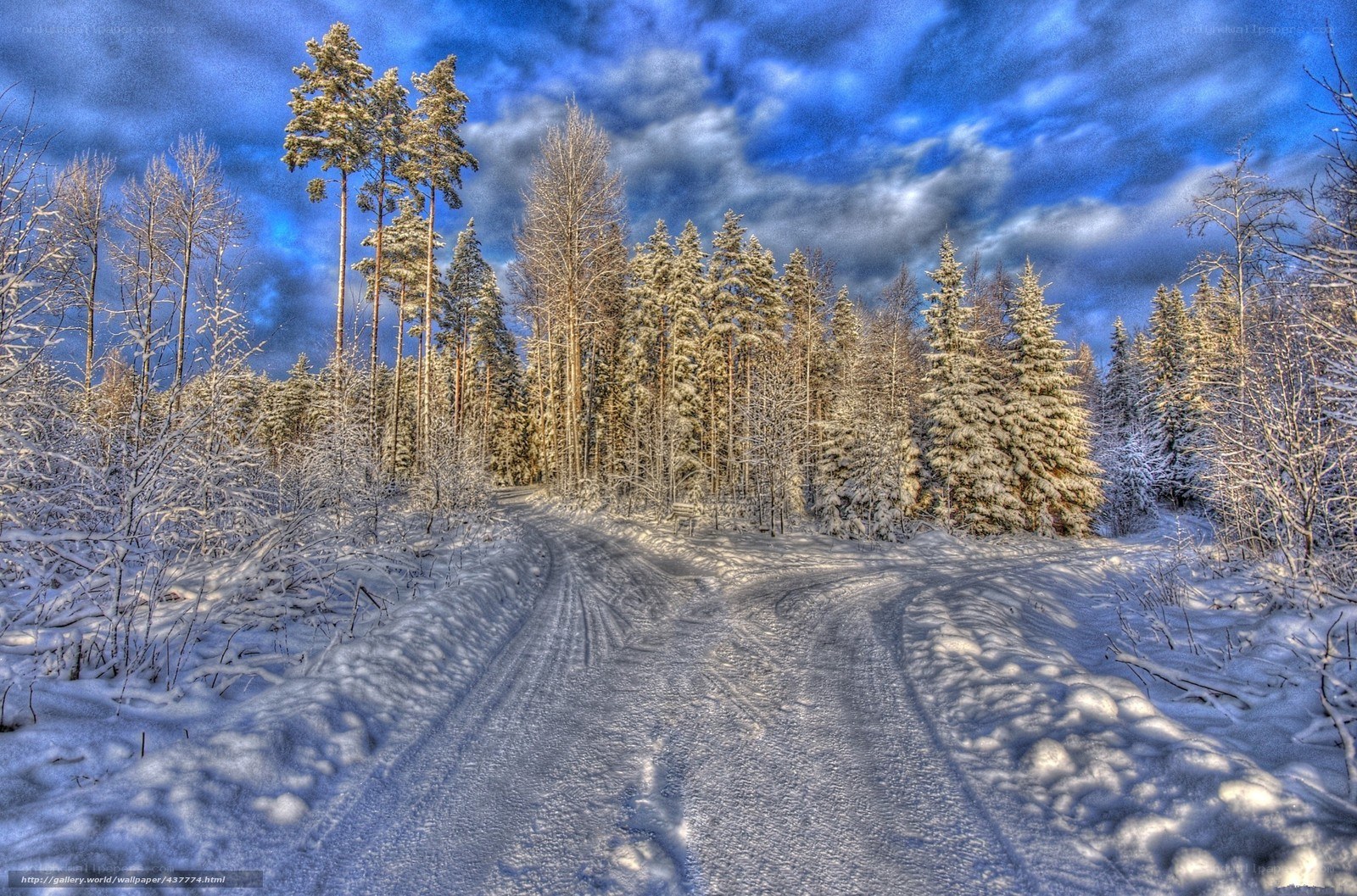 Snowy forest road at dusk