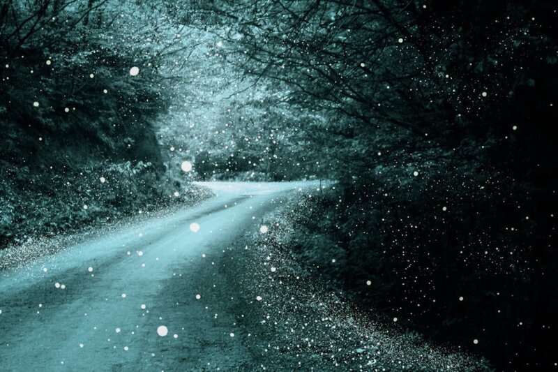Snowy forest road at night