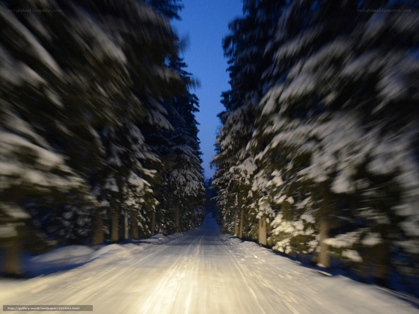 Snowy forest road at night