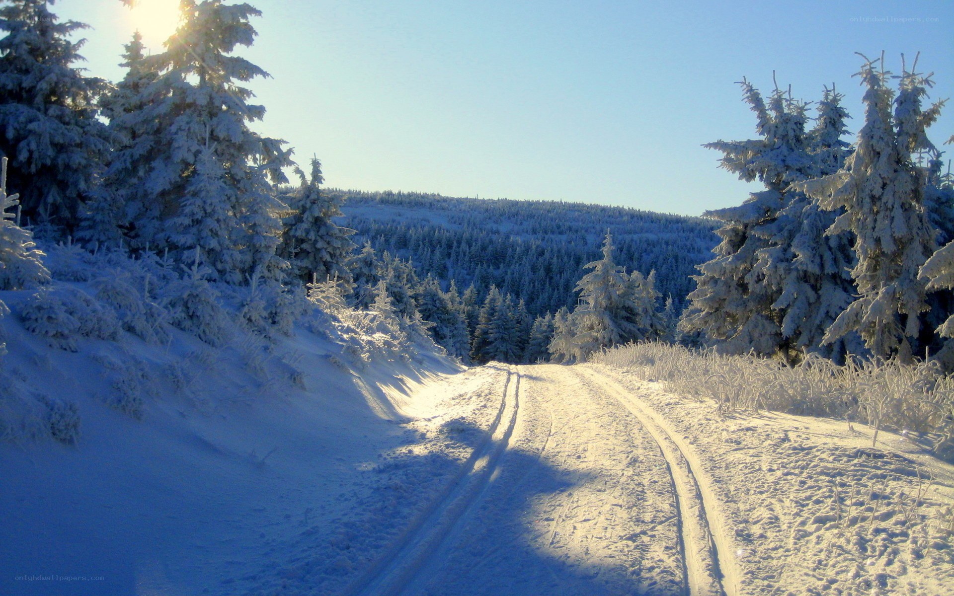 Snowy forest road at sunrise