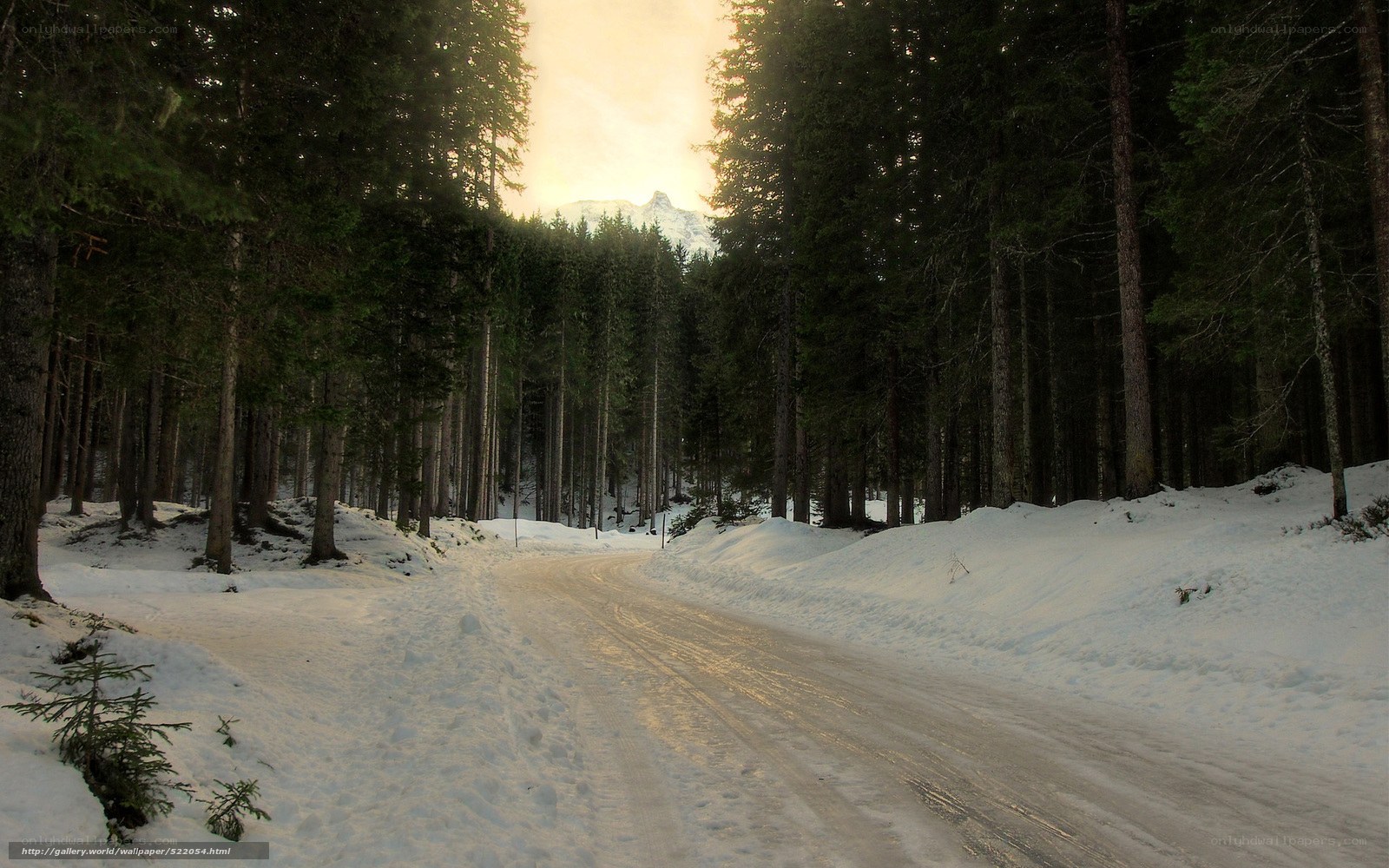 Snowy forest road at sunset