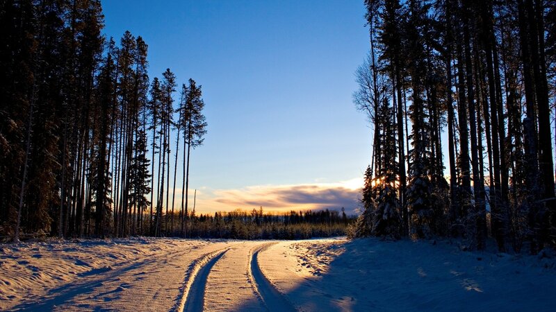 Snowy forest road at sunset