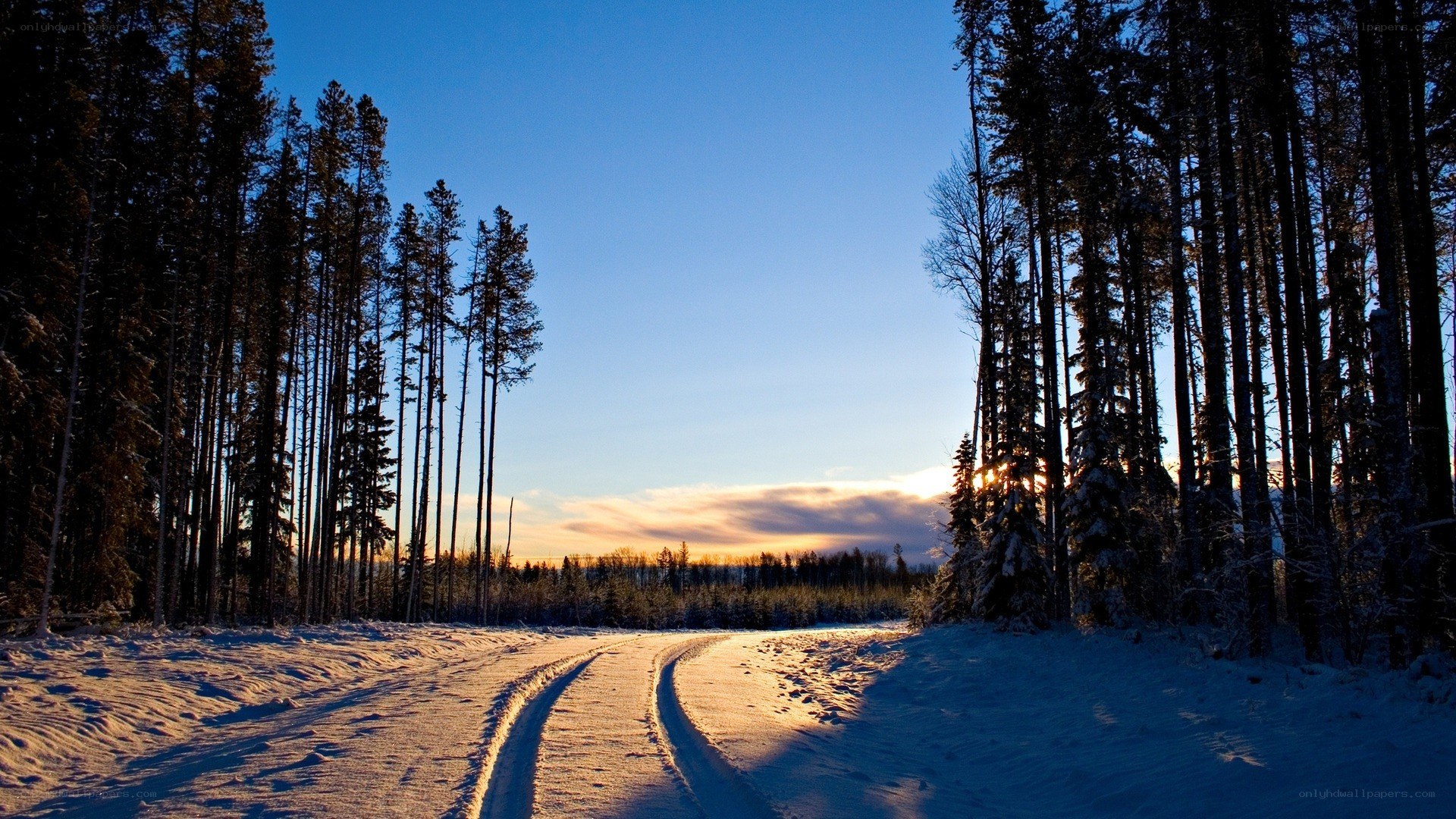 Snowy forest road at sunset