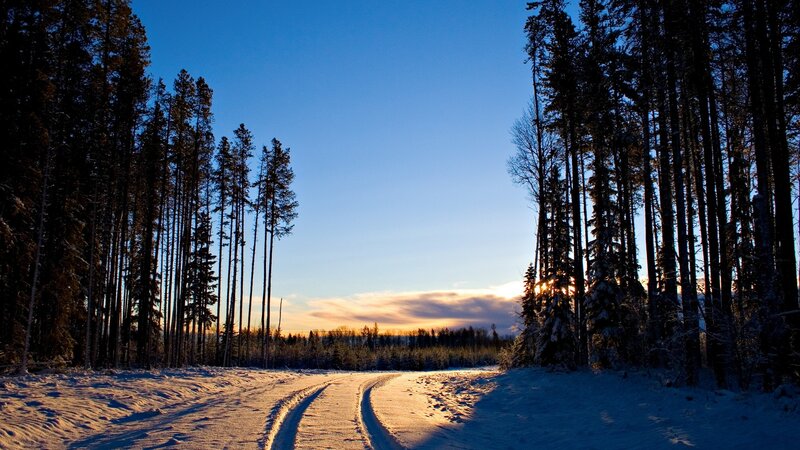 Snowy forest road at sunset