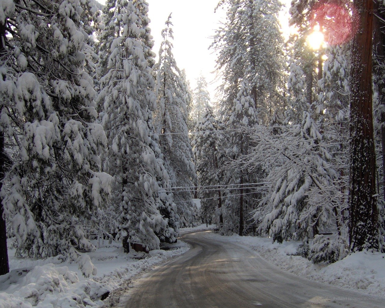 Snowy forest road at sunset