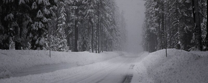 Snowy forest road during storm