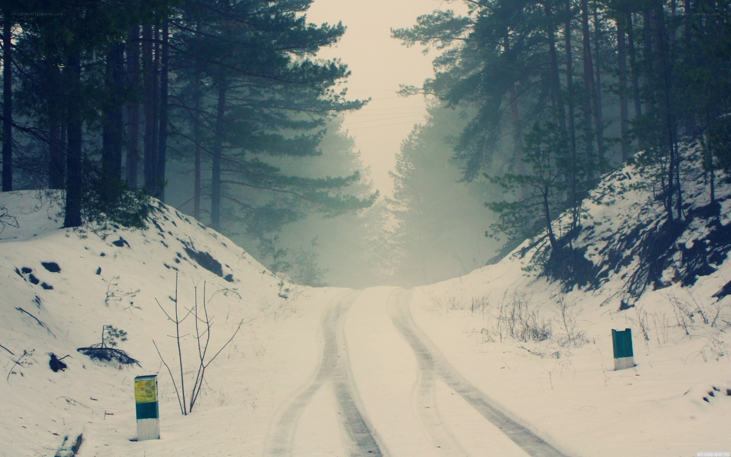 Snowy forest road in fog