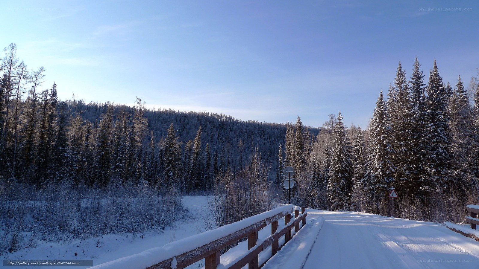 Snowy forest road in winter