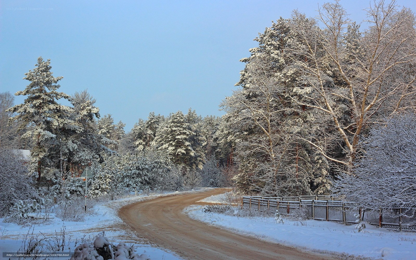 Snowy forest road in winter